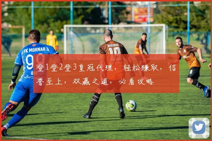 登1登2登3皇冠代理，轻松赚取，信誉至上，双赢之道，必看攻略