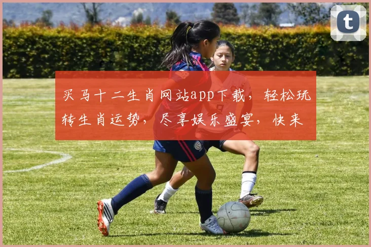 买马十二生肖网站app下载，轻松玩转生肖运势，尽享娱乐盛宴，快来下载