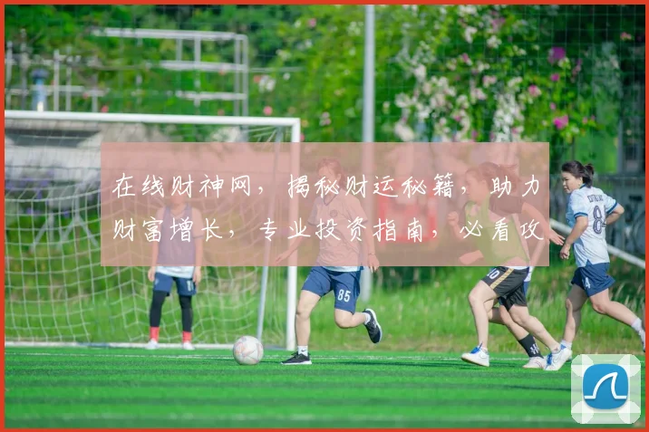 在线财神网，揭秘财运秘籍，助力财富增长，专业投资指南，必看攻略