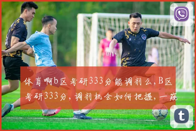 体育啊b区考研333分能调剂么,B区考研333分,调剂机会如何把握,一窥究竟