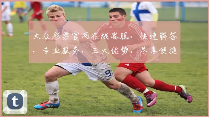大众彩票官网在线客服，快速解答，专业服务，三大优势，尽享便捷体验，一触即达