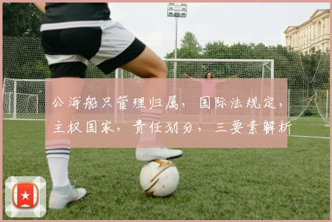 公海船只管理归属，国际法规定，主权国家，责任划分，三要素解析